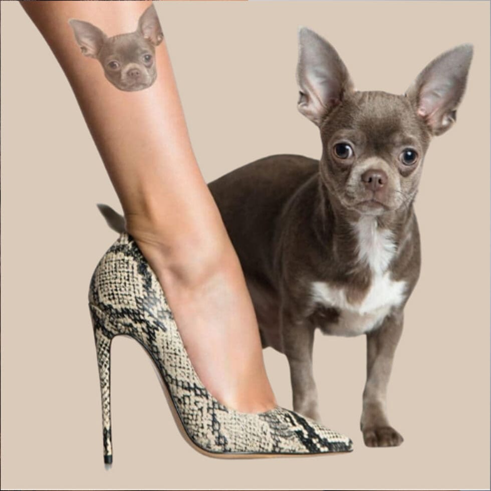 Carta Tattoo 2.1 TheMagicTouch TATTOO 2.1 – Carta Transfer per Tatuaggi Temporanei Laser | Effetto Realistico 3-5 Giorni